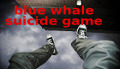 blue whale gioco del suicidio