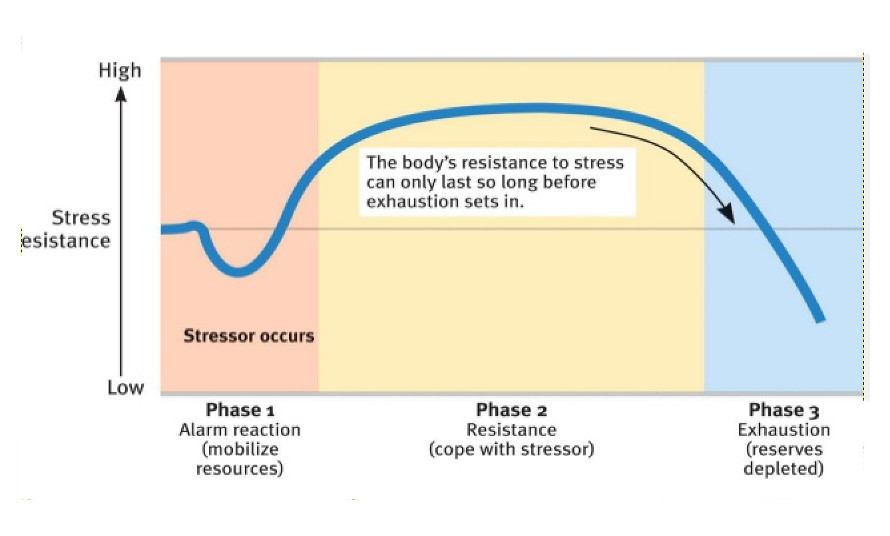 general adaptation syndrome