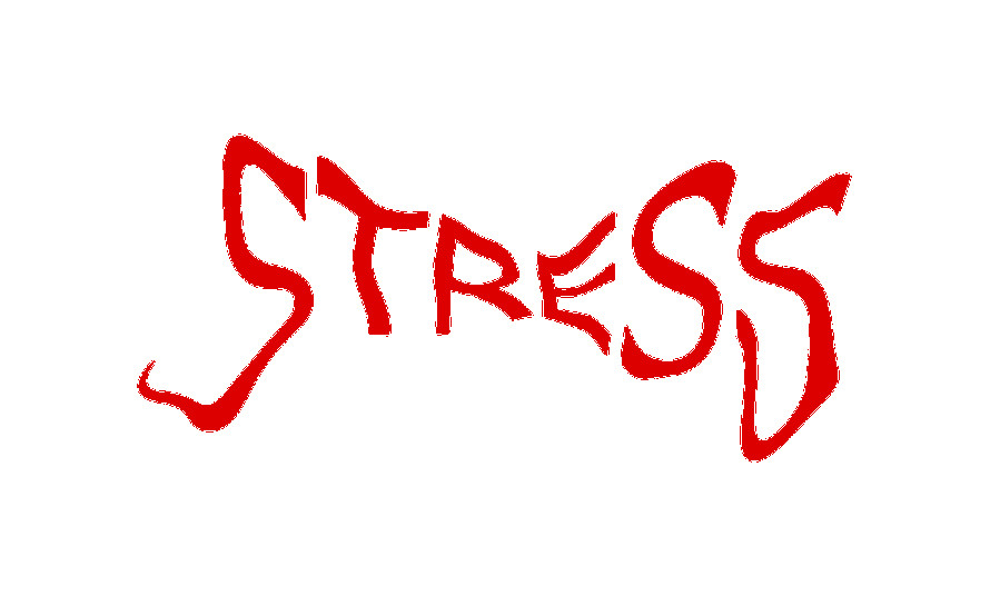stress definizione